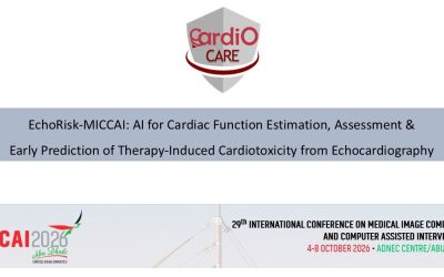 EchoRisk-MICCAI at MICCAI 2026